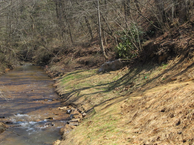 streambank restoration