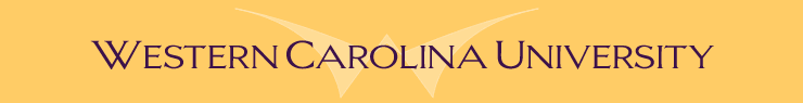 western banner