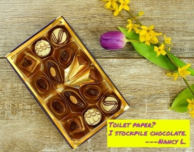 chocolate